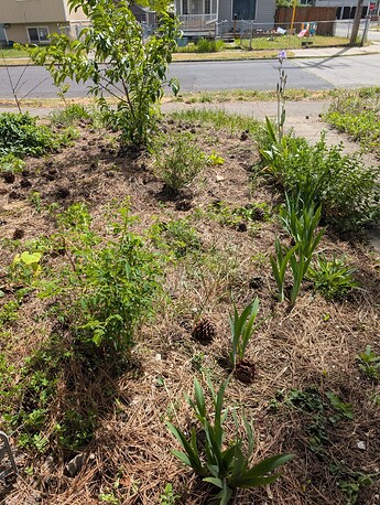 PXL_20250515_205001008