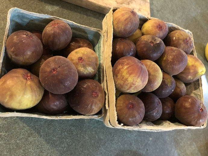 Reservoir_figs_09-13-2020