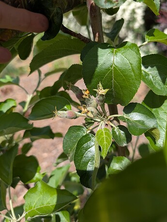 PXL_20250515_204738641