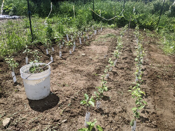 PXL_20220611_145605300