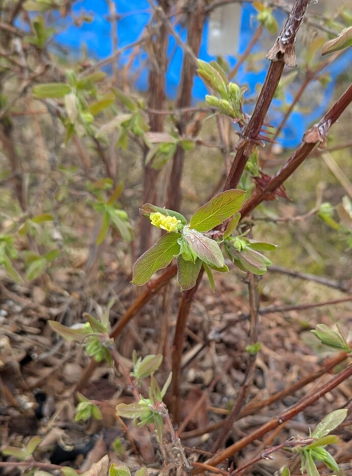 PXL_20250419_133319878~2