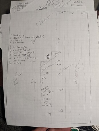 PXL_20250516_185909685