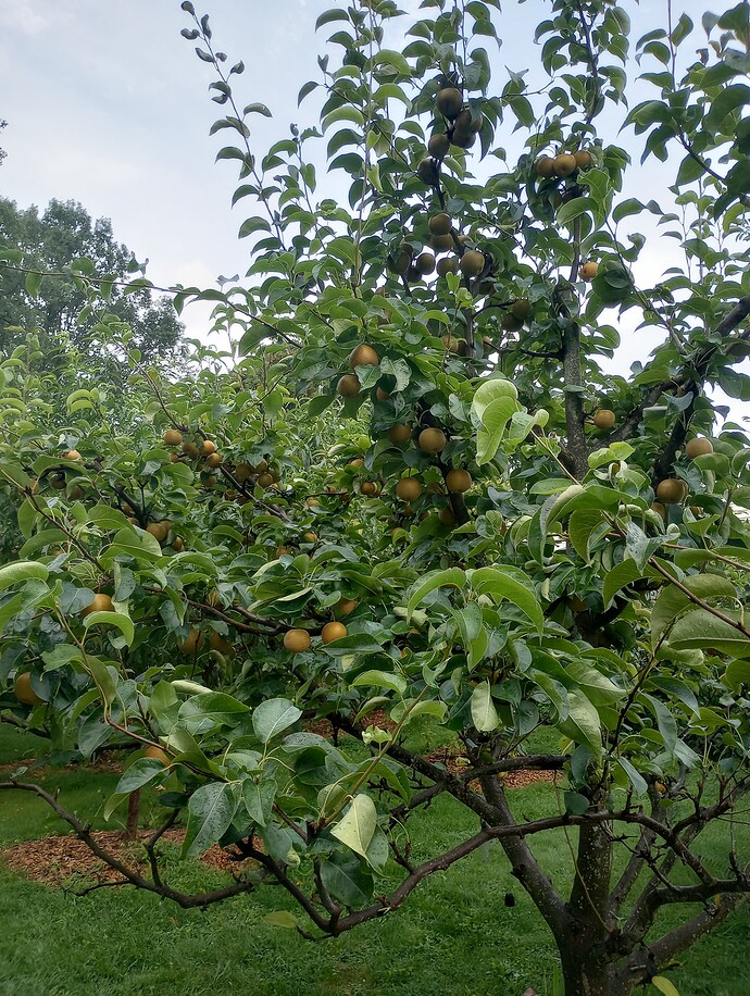 IMG_20230815_072103612_HDR