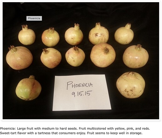 Image 10-7-24 at 8.55 AM