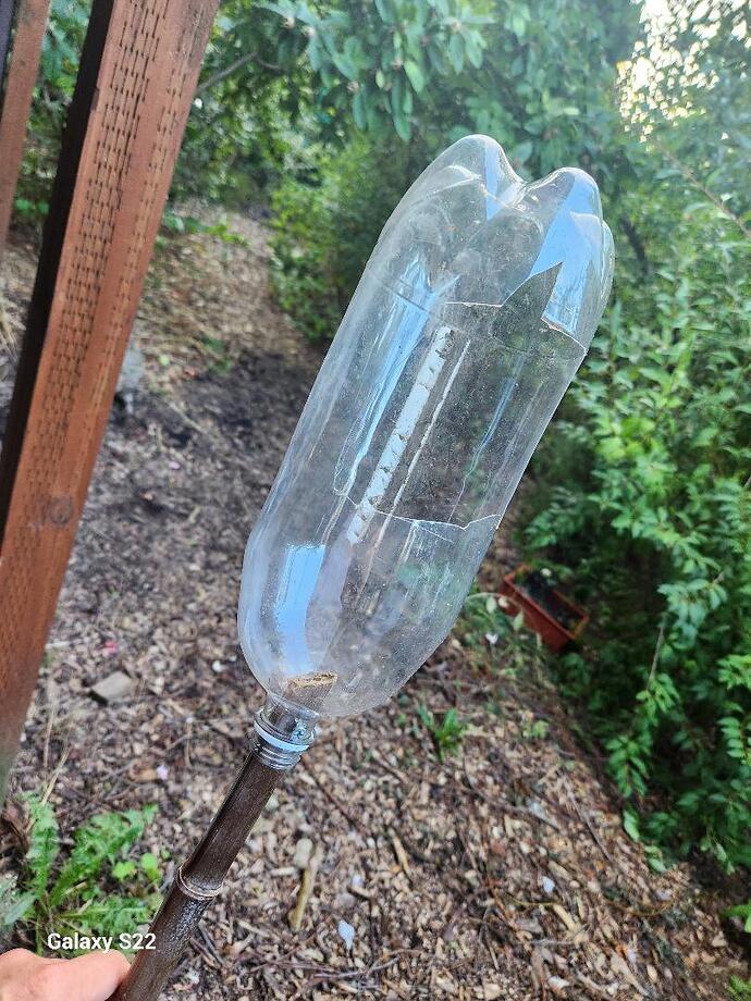 Plastic bottle fruit picker