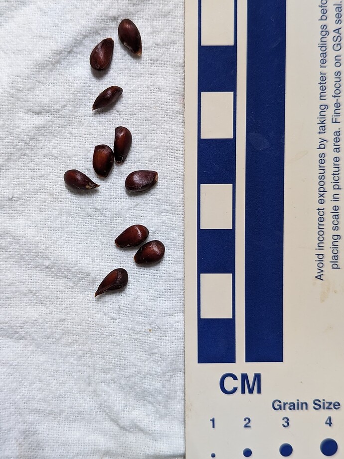 PXL_20240206_055933782