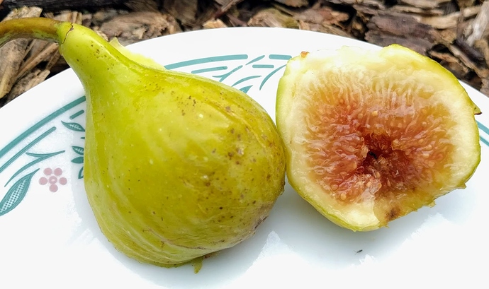 Qudssaya%2008-28-2019