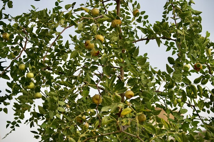 326AD85A-AEE1-4474-AAF1-9AD452680379_1_105_c