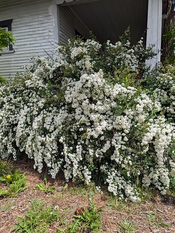 PXL_20250515_204758001