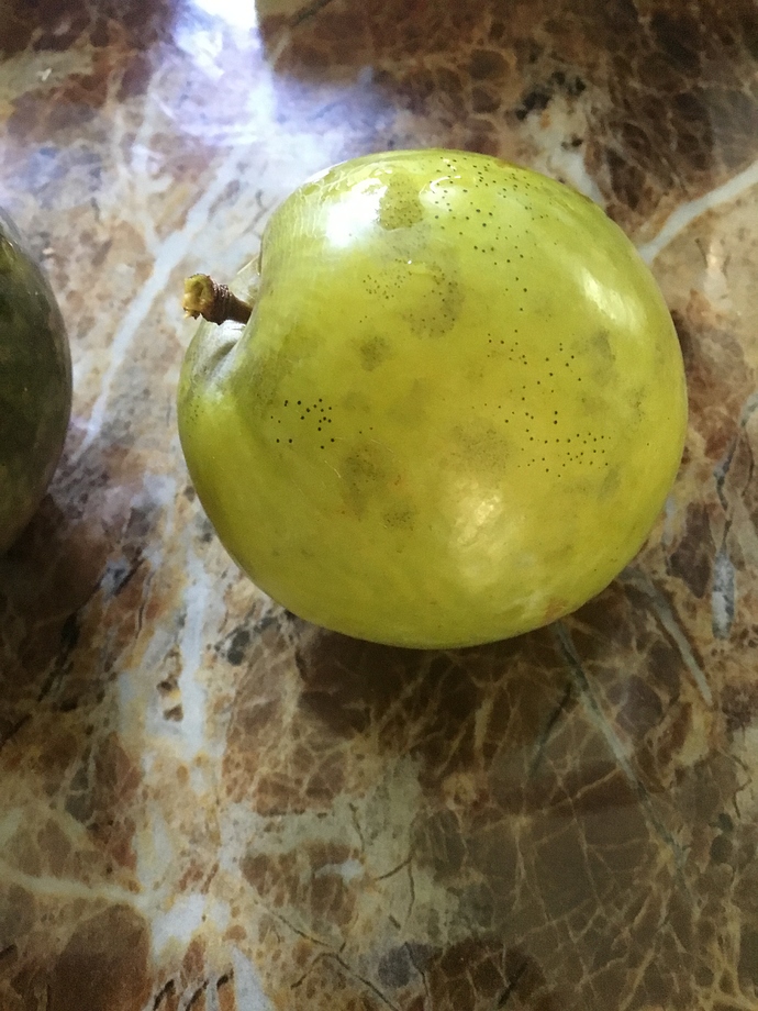 D7A13C4B-E38F-483C-B30D-727F92A70835