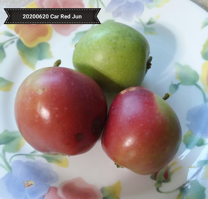 car%20red%20june%2020200620_071451