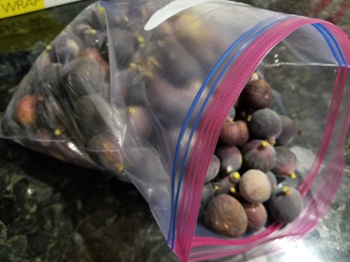 15984022666055461144414878990460