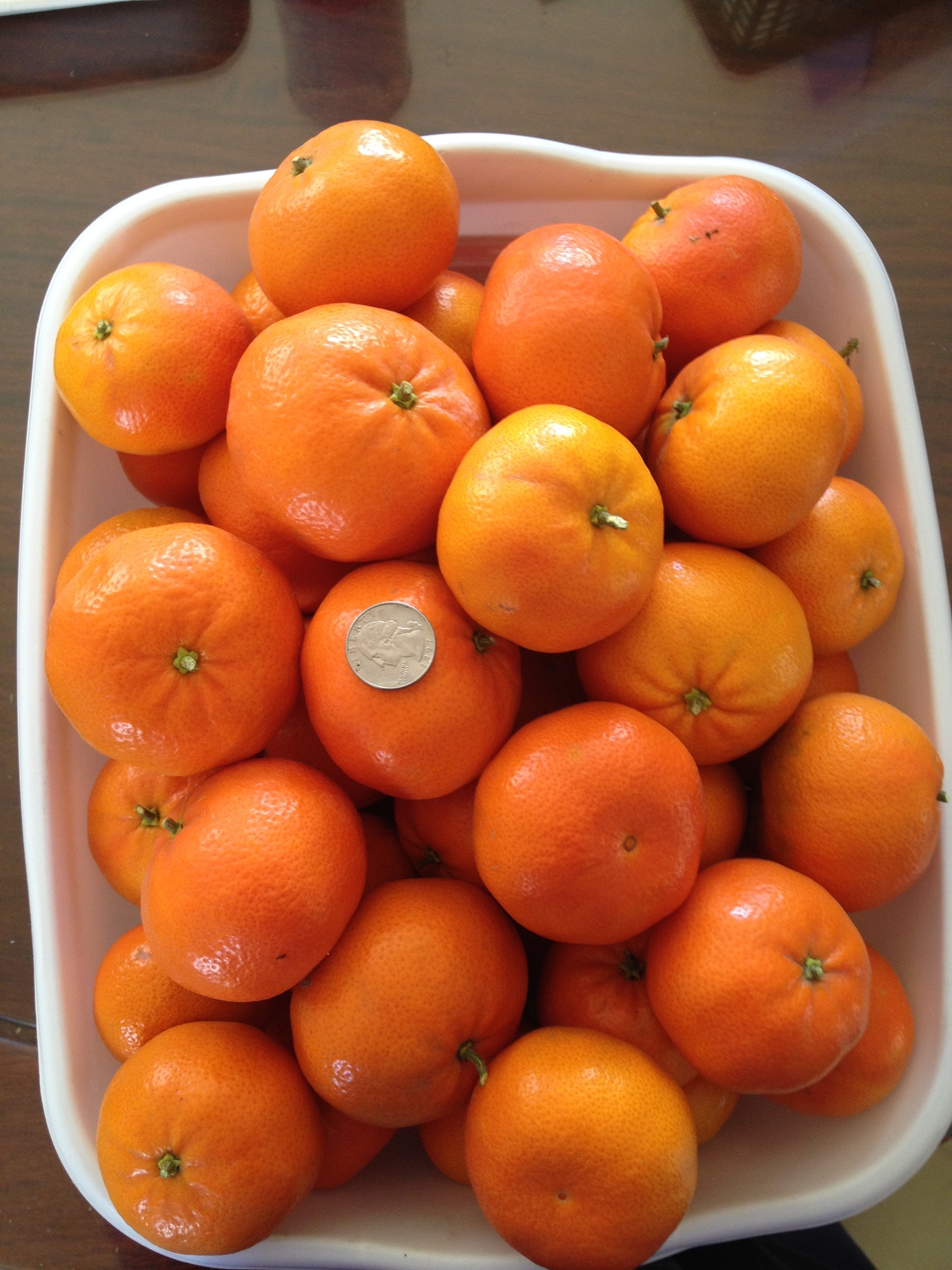 2020 pick of the day Pictures! Growing Fruit