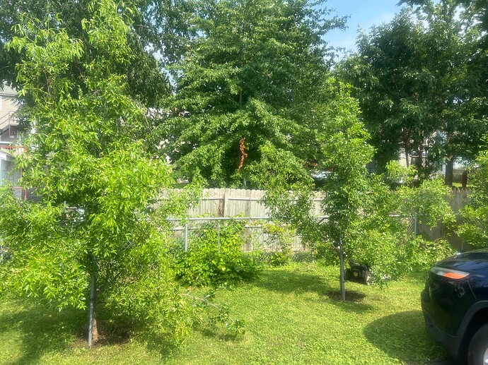 Rental_fast_st_07-25-2024