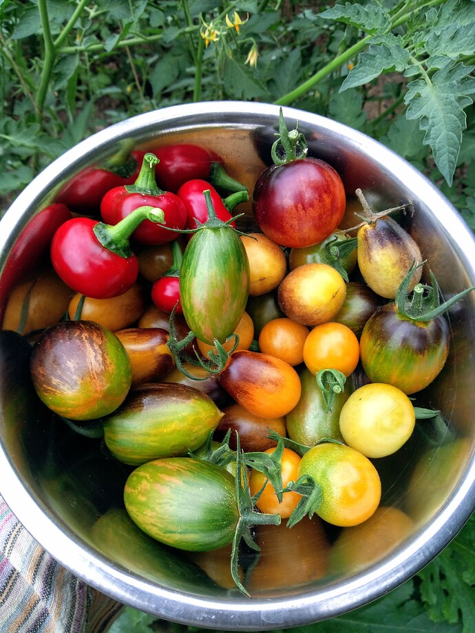 IMG_20240801_094227_641~2