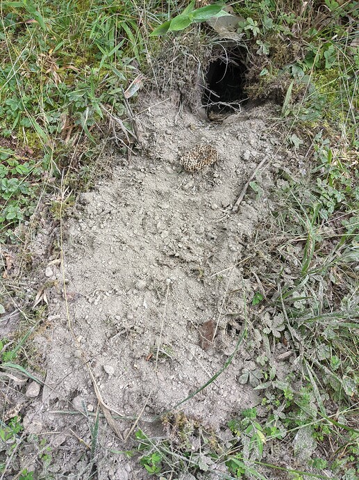 PXL_20210718_155821925.MP