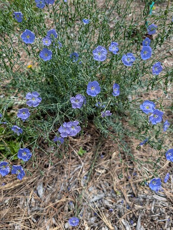 PXL_20250515_204816398