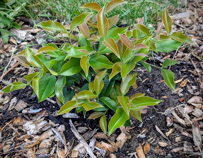 PXL_20240629_165628123~2