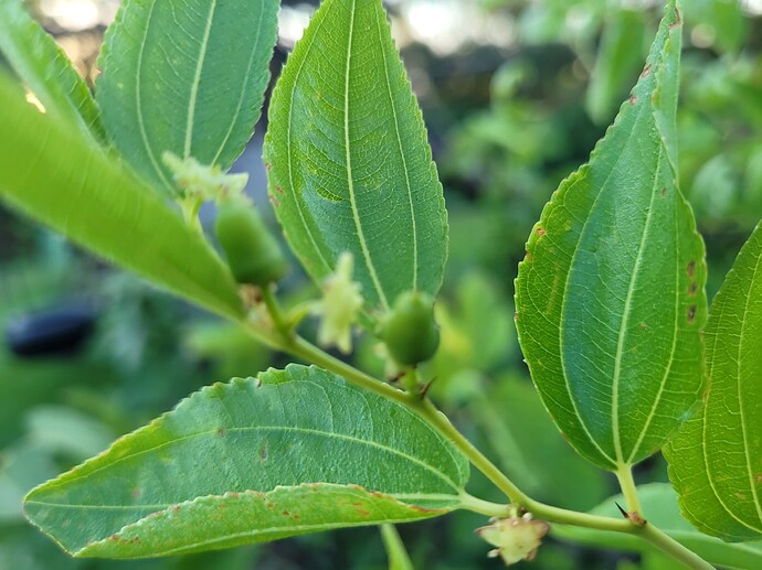 16601326217827434887138341378051