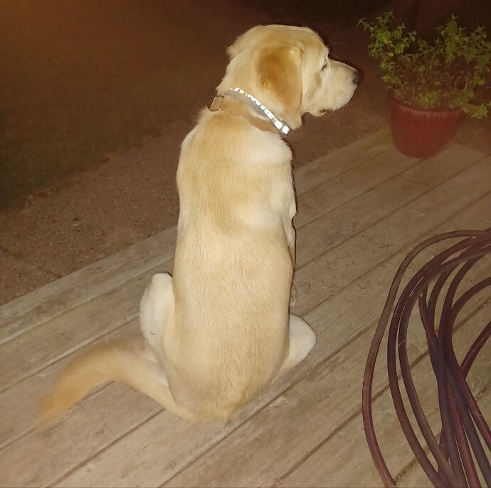 Screenshot_20241015_232148_Gallery