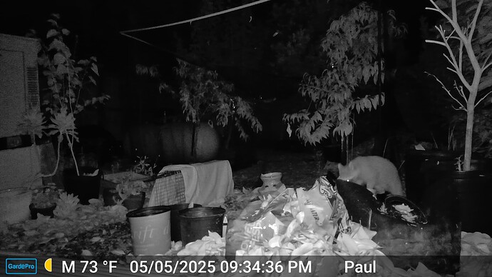 385CFB609E60_20250505213436_1017_o