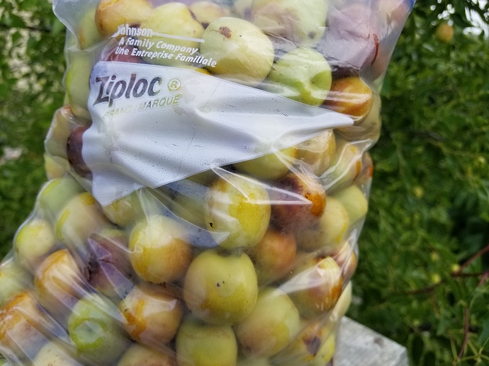 15999346998714030329166180548410