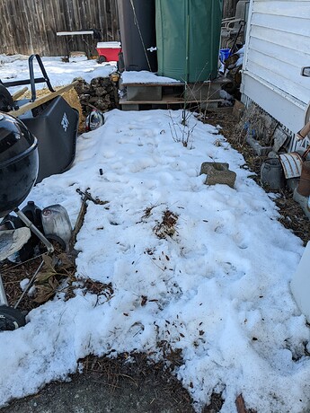 PXL_20230307_213239920