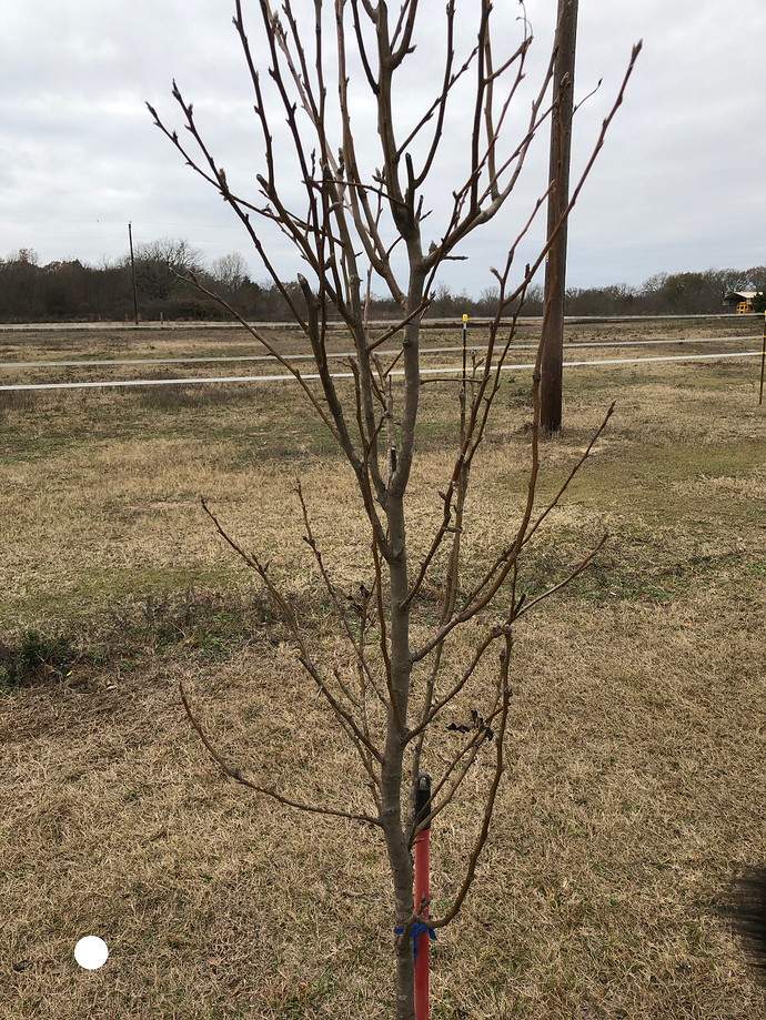 73742631-D556-4858-823D-575F01D59E3A