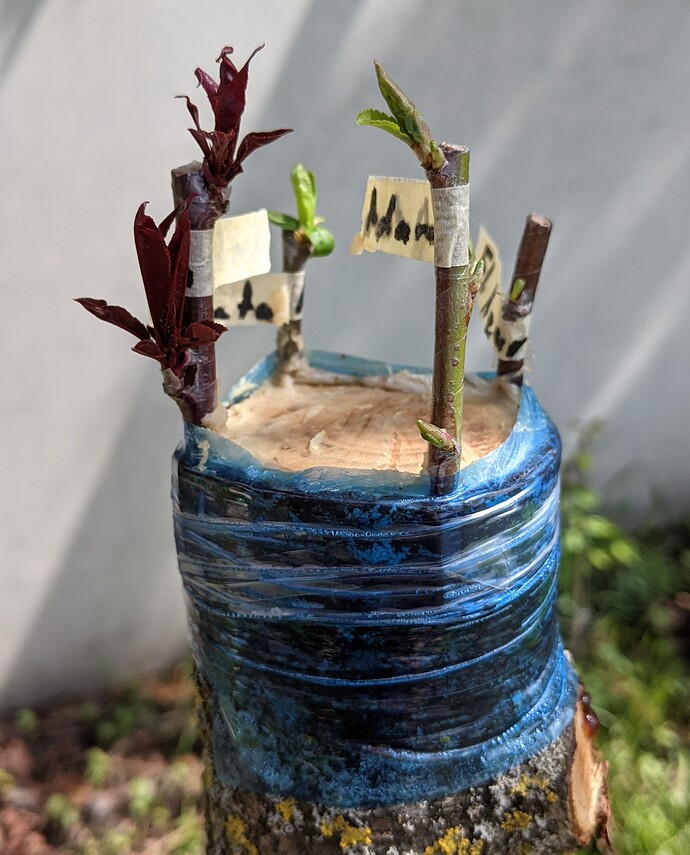 PXL_20210514_092015892