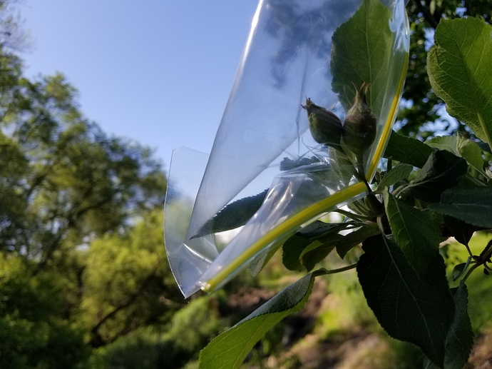 20190526_102916