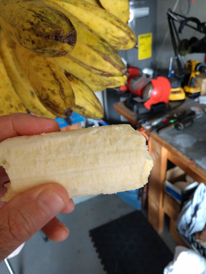 IMG_20190918_171543095