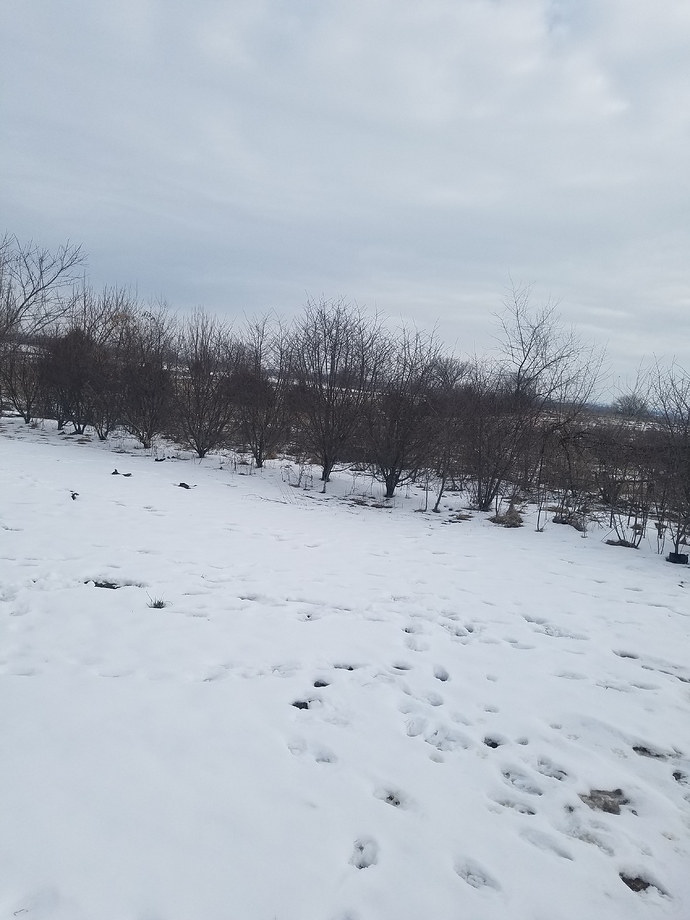 20190222_102723