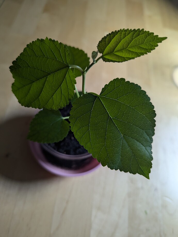 PXL_20240708_011255004