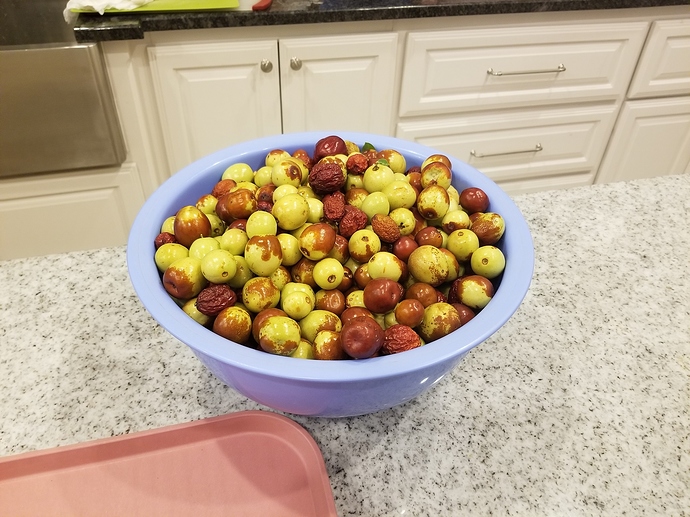 jujubees_july_dallas_b