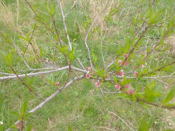 IMG_20250503_125743703