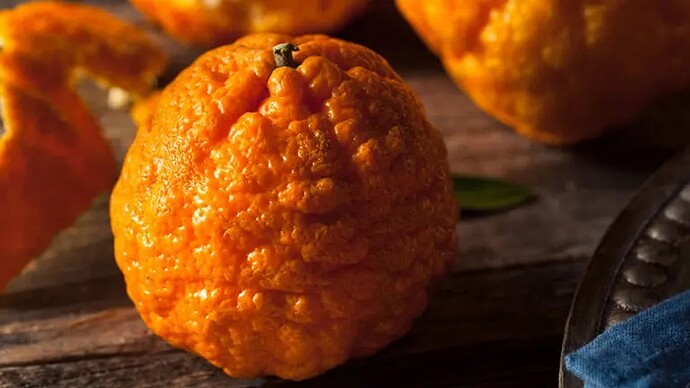 gold-nugget-mandarine