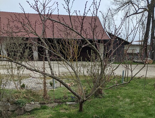 PXL_20210417_090323670