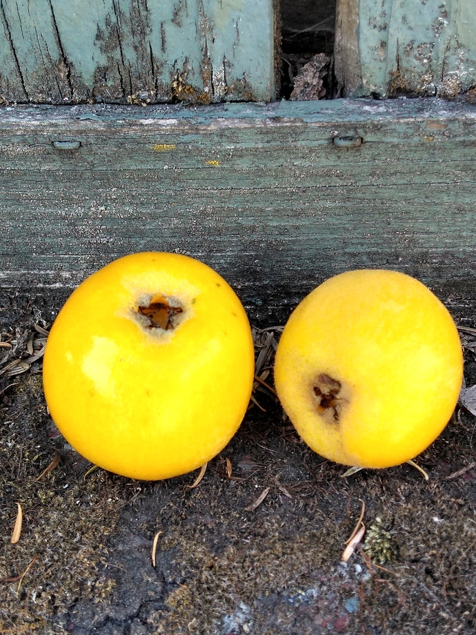 IMG_20190621_144148593_HDR