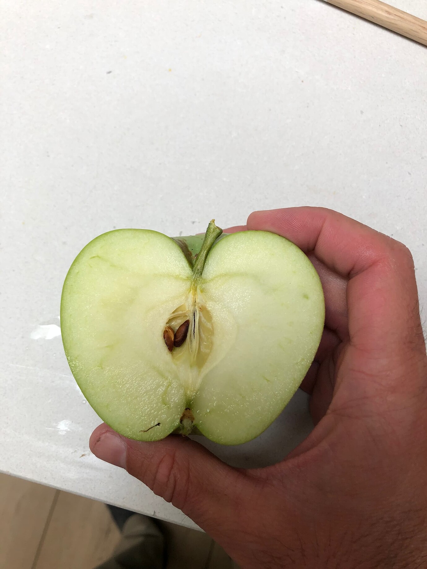 Waltana Apple Dropping Early General Fruit Growing Growing Fruit