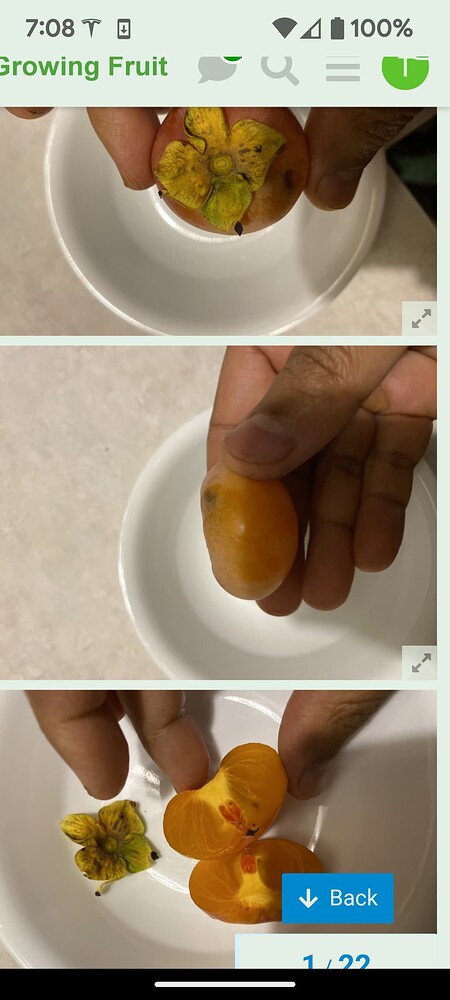 Screenshot_20240825-070826