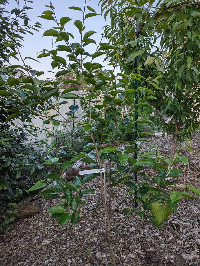 PXL_20240521_000140877