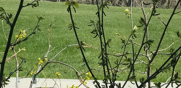 1587494887053136872931488002703