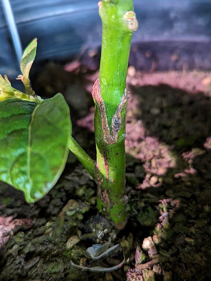 PXL_20230228_051725711