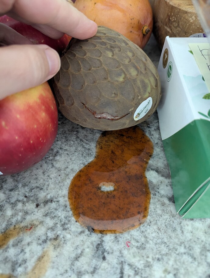 PXL_20250525_130240800