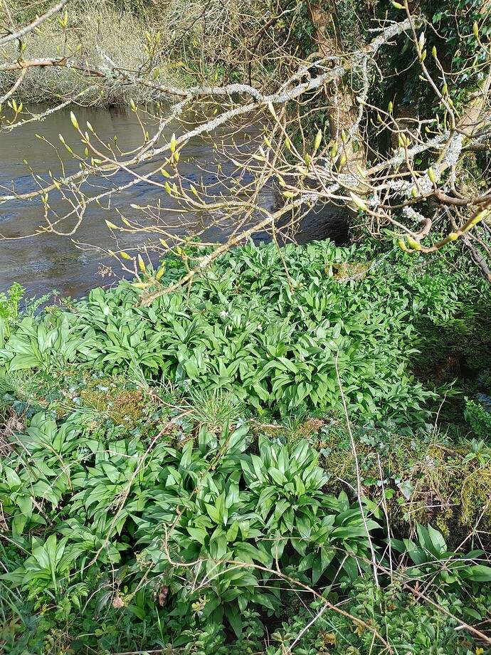 IMG_20240325_160054917_HDR