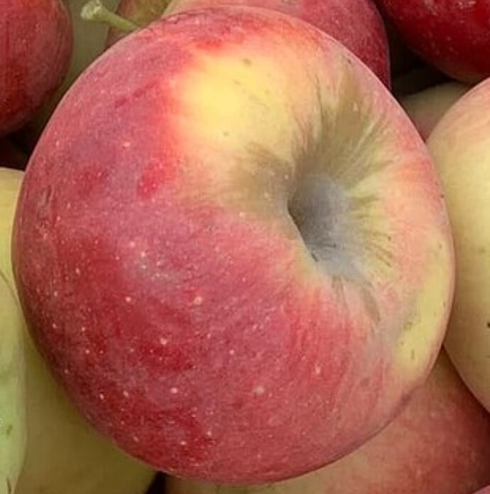 Screenshot_20221015-170002_Samsung Internet