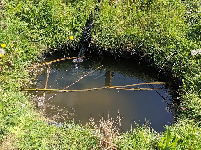 PXL_20220429_190705937