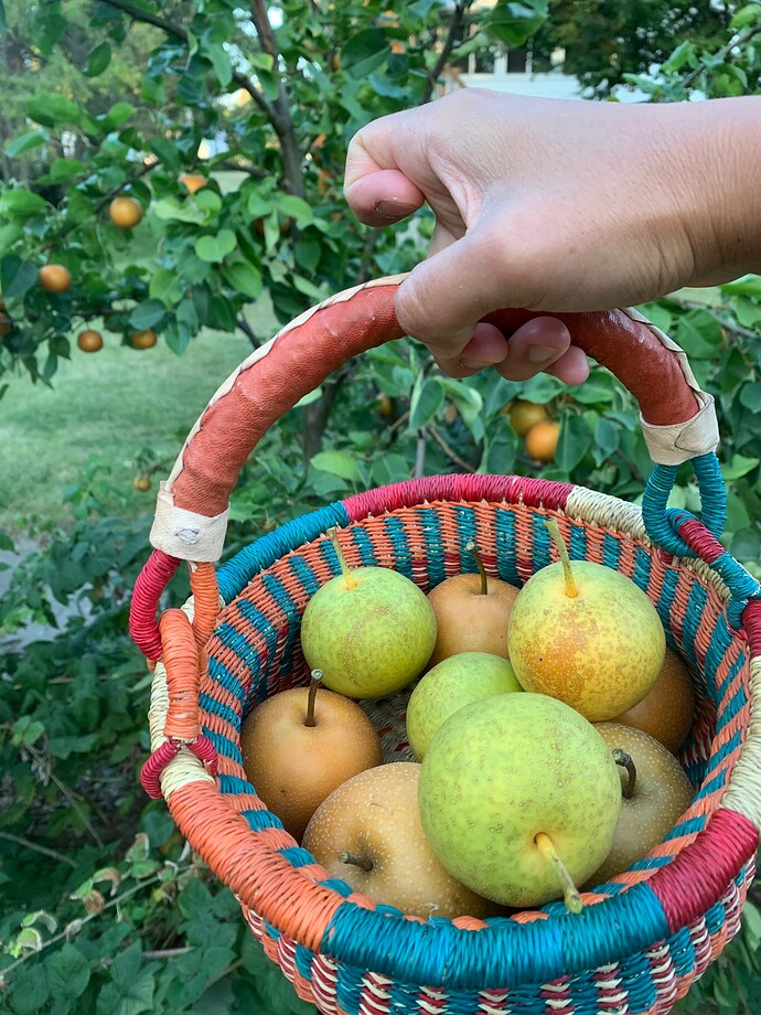 71538819493__EEB9F8E8-E8DD-40B3-BF45-ADFF42512884