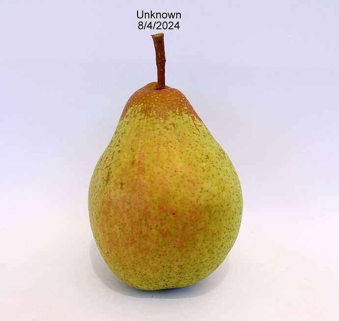 Unknown8-4-2024#1RS