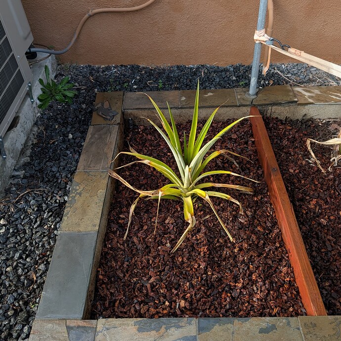 PXL_20250301_002101688